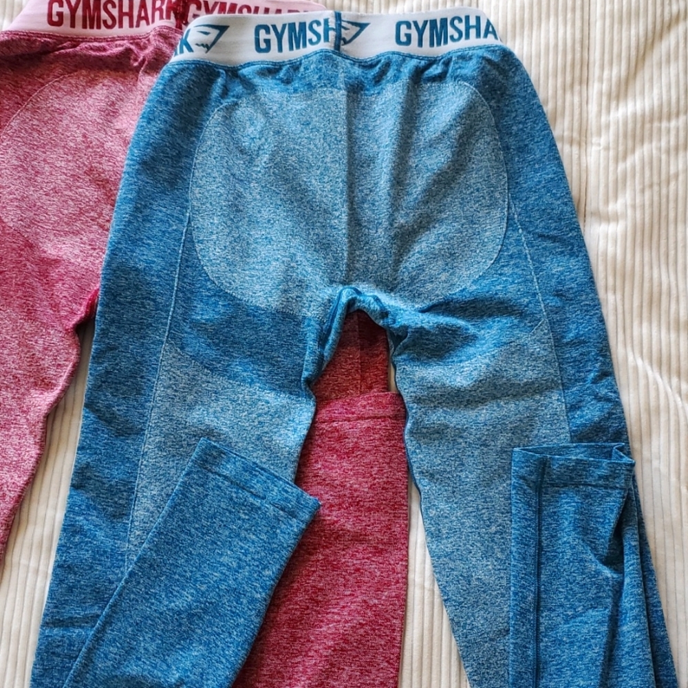 2 Gymshark Dry Leggings